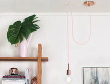 Load image into Gallery viewer, Single Port Ceiling Canopy
