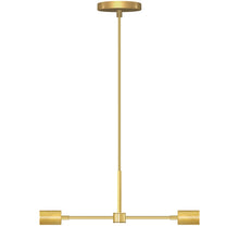 Load image into Gallery viewer, Duo Pendant
