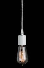 Load image into Gallery viewer, Edison Bulb
