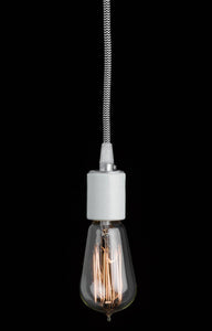 Edison Bulb