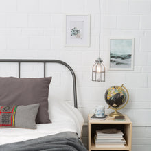 Load image into Gallery viewer, Industrial Light Bulb Cage
