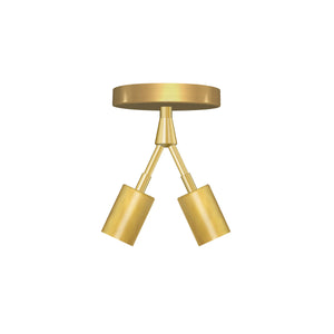 Widget Light