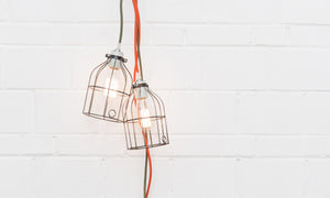 Edison Bulb