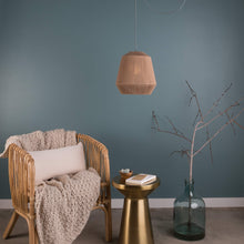 Load image into Gallery viewer, AiO Single Port Pendant Light
